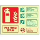 P50 Foam Spray Fire Extinguisher Identification