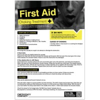 Choking - First Aid Poster